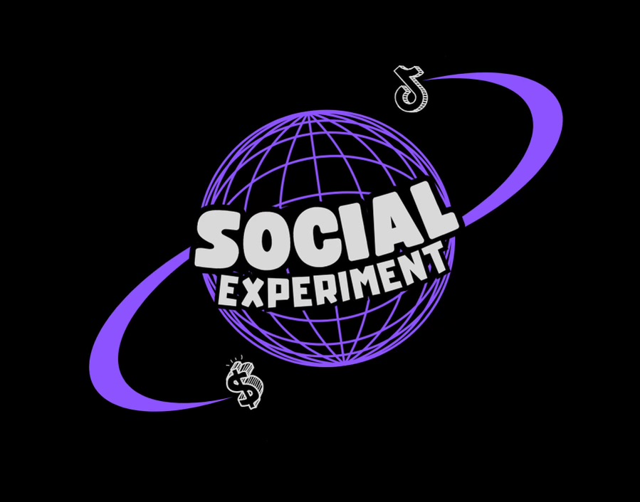 Social Experiment logo